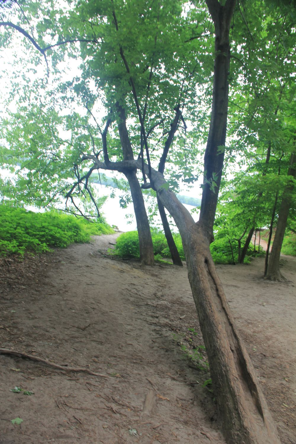 Starved Rock 